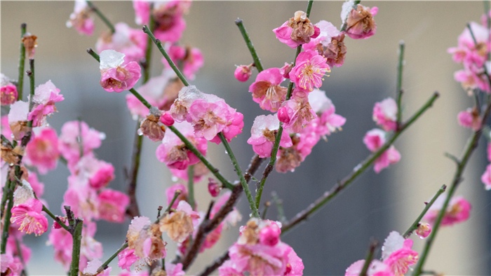 1604649395963691.png 圖片2.png