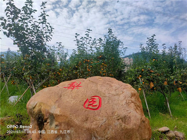 1627269616575034.jpg 圖片1.jpg